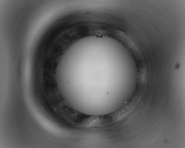 X0000101390764200807141132