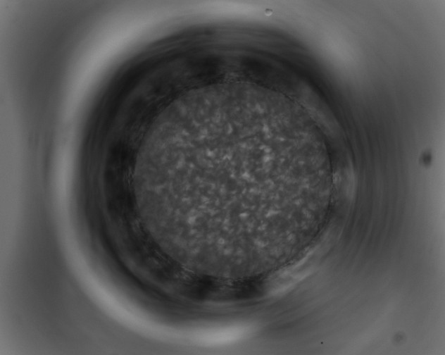 X0000101390765200807141132