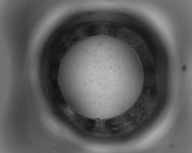 X0000101390766200807141132