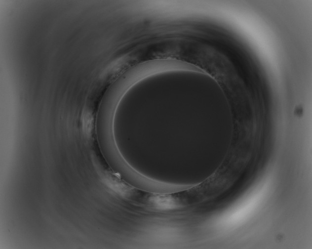 X0000101390767200807141132