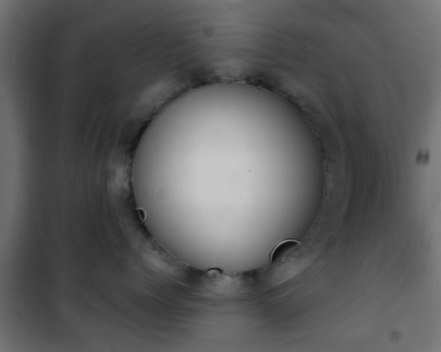 X0000101390768200807141132