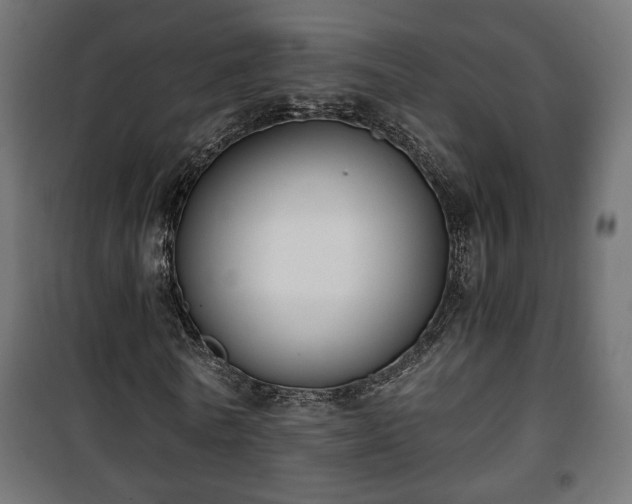 X0000101390770200807141132