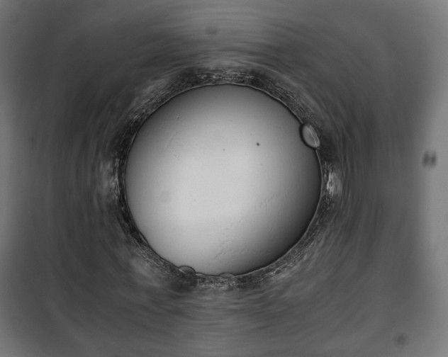 X0000101390771200807141132