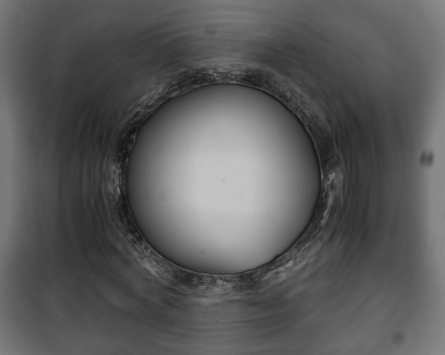 X0000101390772200807141132