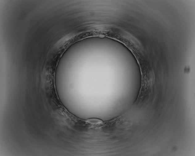 X0000101390773200807141132