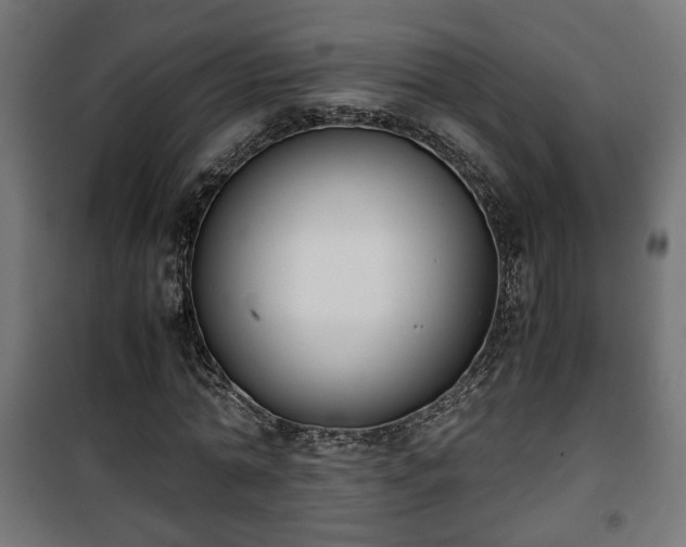 X0000101390774200807141132