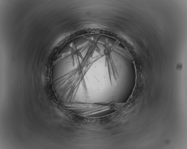 X0000101390775200807141132