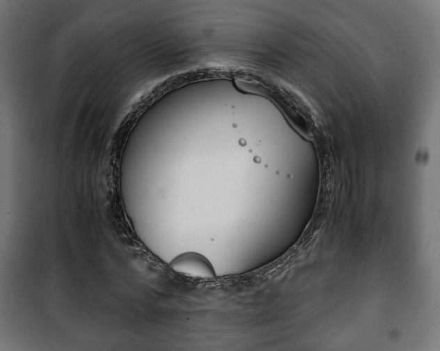 X0000101390776200807141131