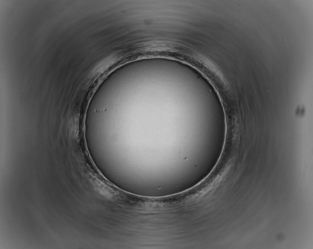 X0000101390777200807141131