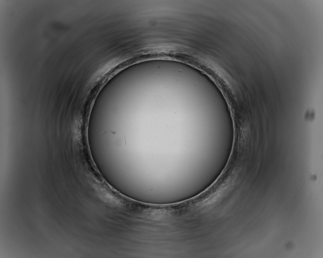 X0000101390778200807141131