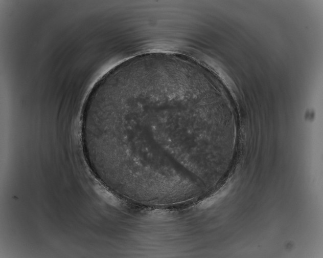 X0000101390779200807141131