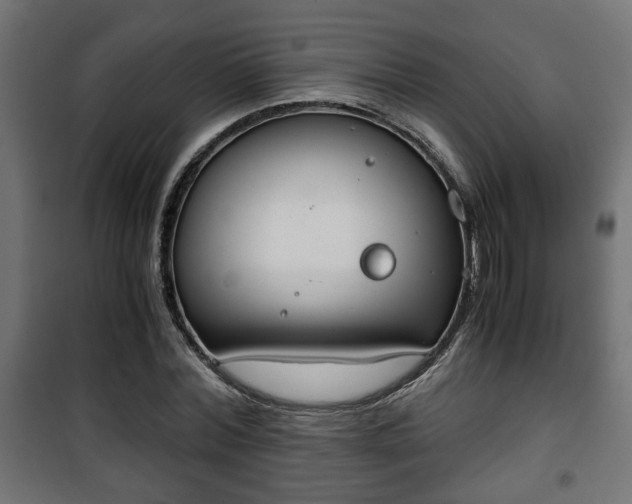 X0000101390780200807141131