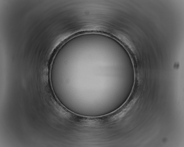 X0000101390781200807141131