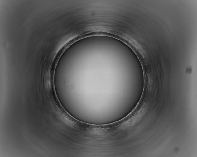 X0000101390782200807141131