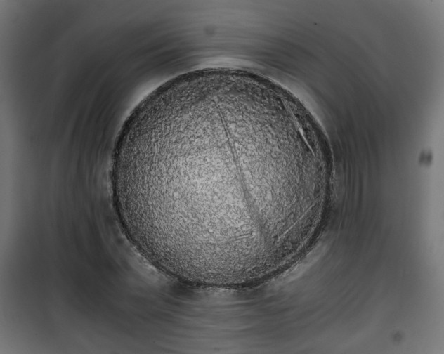 X0000101390783200807141131