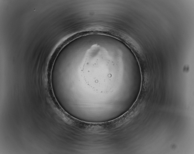 X0000101390784200807141131