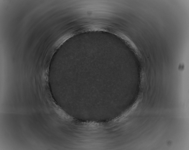 X0000101390785200807141131