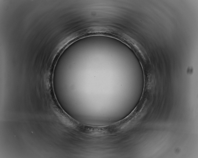 X0000101390786200807141131