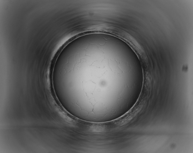 X0000101390788200807141131