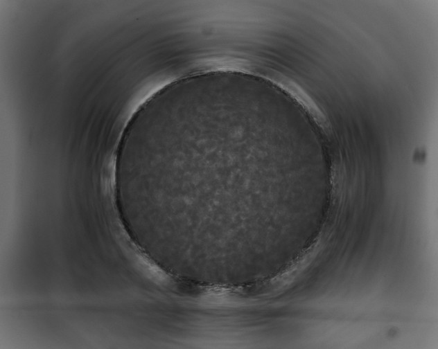 X0000101390790200807141131