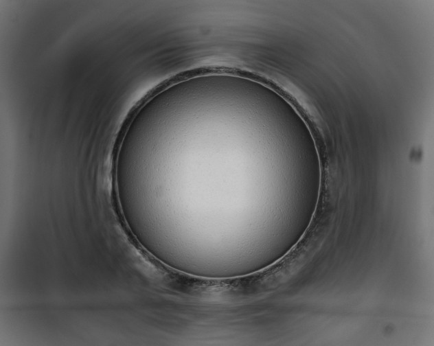 X0000101390791200807141131