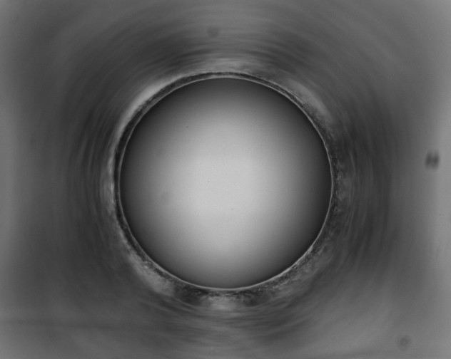 X0000101390792200807141131