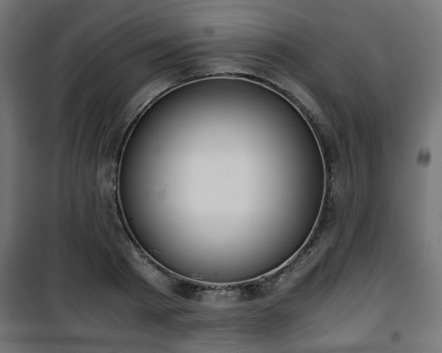 X0000101390793200807141131