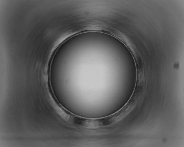 X0000101390795200807141131