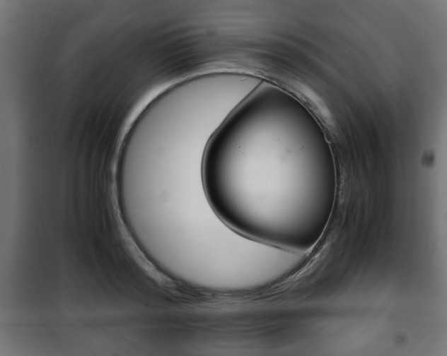 X0000101390796200807141131