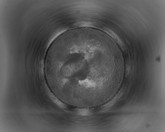 X0000101390798200807141131