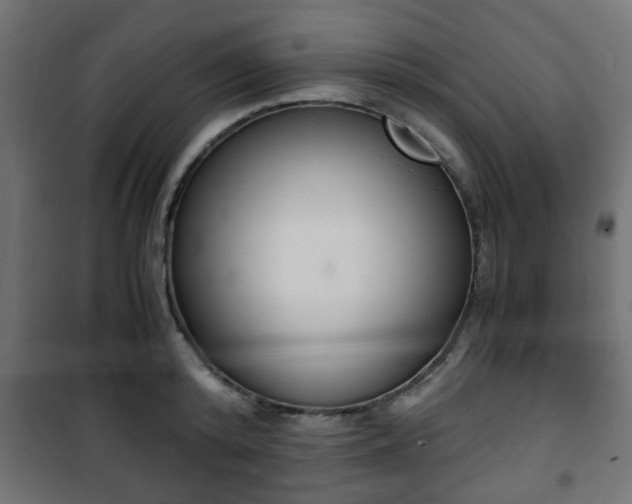 X0000101390800200807141131