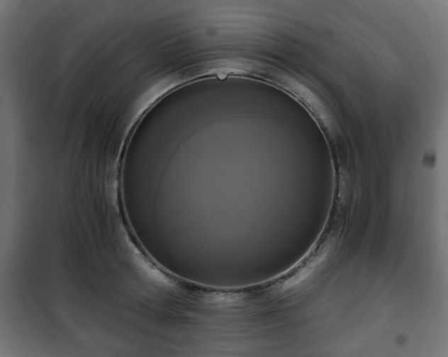 X0000101390802200807141131