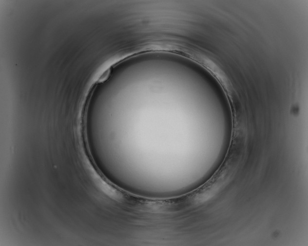 X0000101390803200807141131