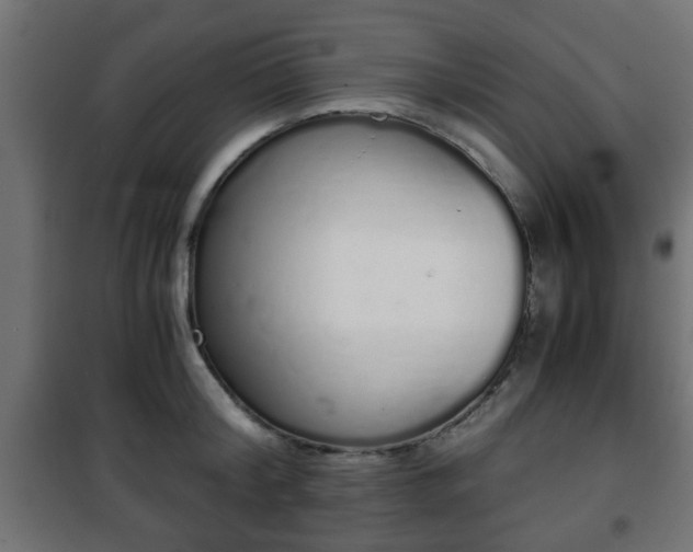 X0000101390804200807141131