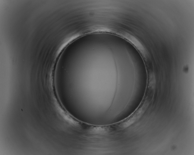 X0000101390806200807141131