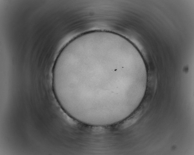 X0000101390807200807141131