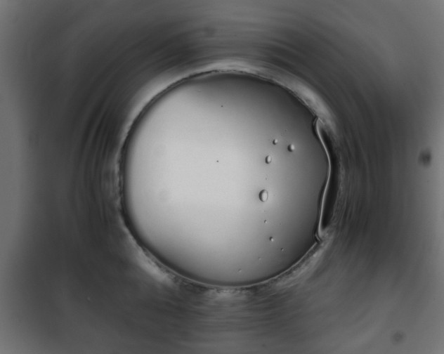 X0000101390808200807141131