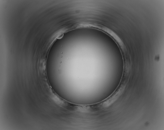 X0000101390809200807141131