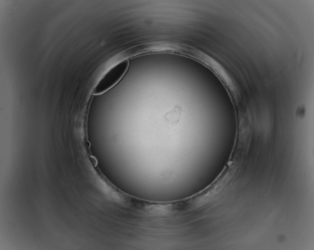 X0000101390810200807141131