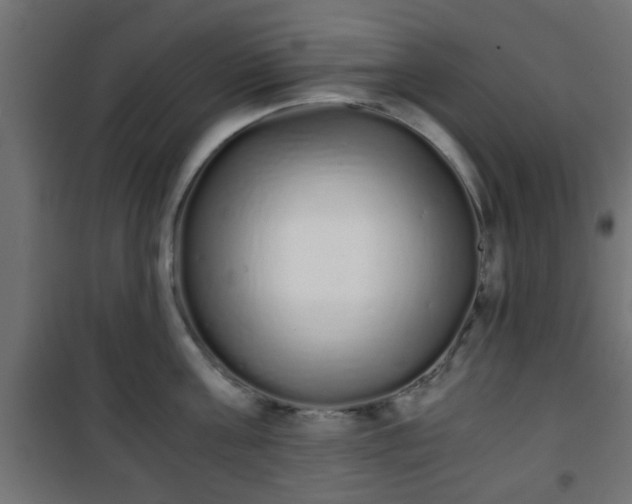 X0000101390811200807141131