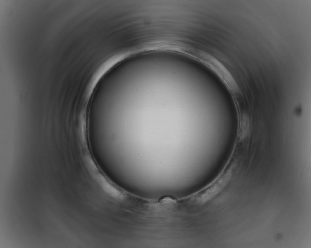 X0000101390812200807141131