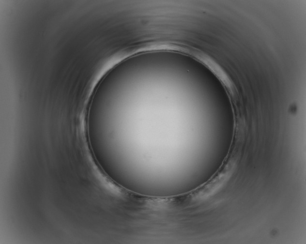 X0000101390813200807141131