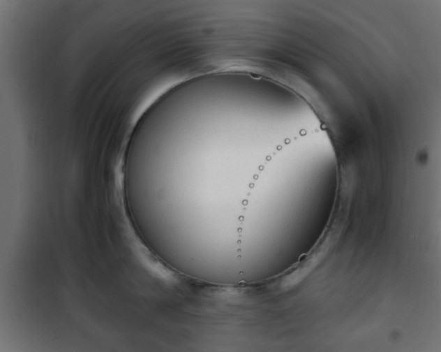 X0000101390814200807141131