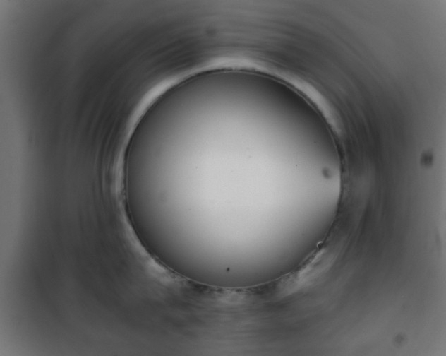 X0000101390815200807141131