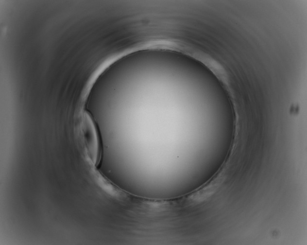 X0000101390816200807141131