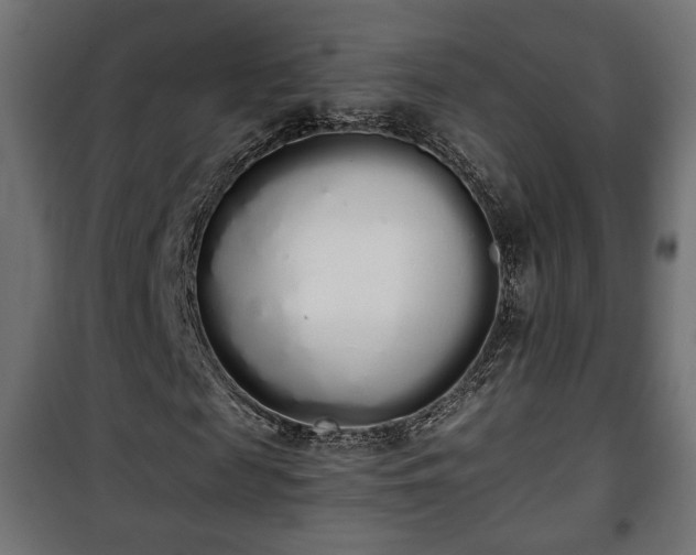 X0000101390817200807141130