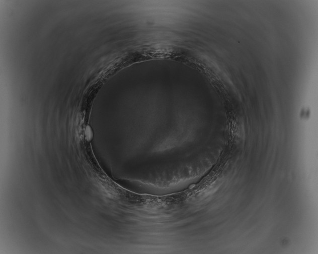 X0000101390818200807141130