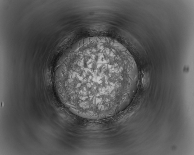 X0000101390819200807141130