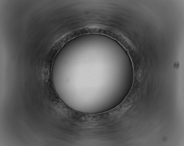 X0000101390821200807141130