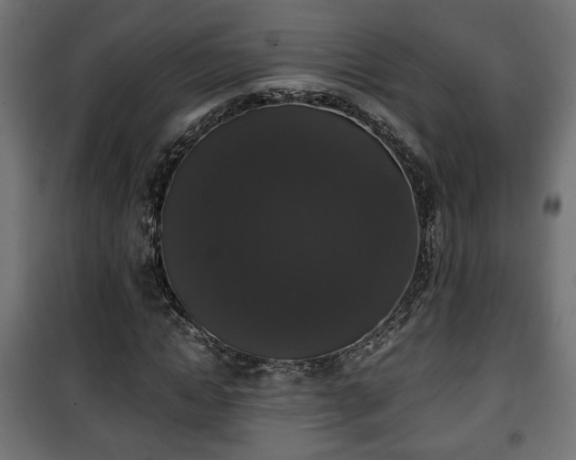 X0000101390822200807141130